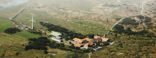 Wattenmeer zum Anfassen 