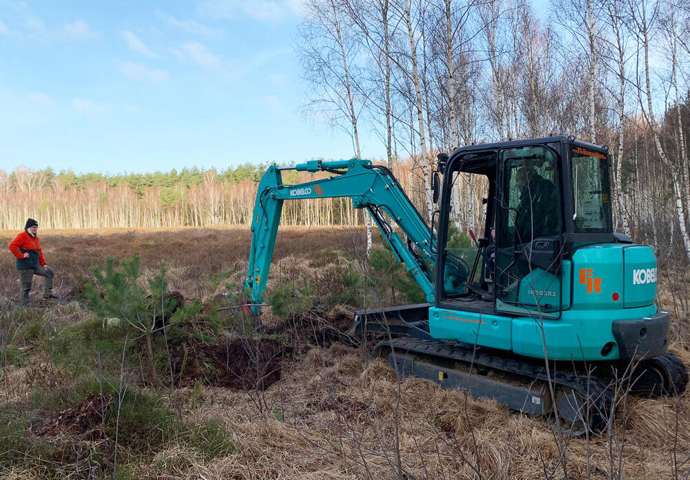 Ueckermünder Heide - Kesselmoor © Ole Elsholz/Bundesforst