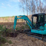 Ueckermünder Heide - Kesselmoor © Ole Elsholz/Bundesforst