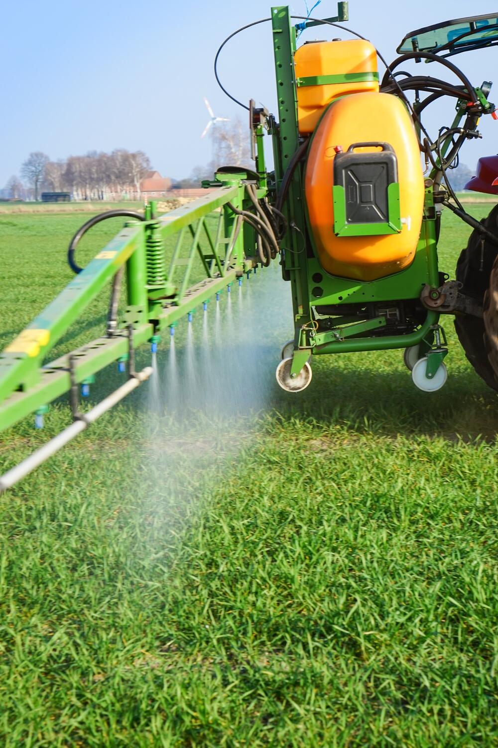 Pflanzenschutzmaßnahmen mit gezielter, effizienter Pflanzenerkennung © countrypixel - stock.adobe.com