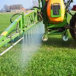 Pflanzenschutzmaßnahmen mit gezielter, effizienter Pflanzenerkennung © countrypixel - stock.adobe.com