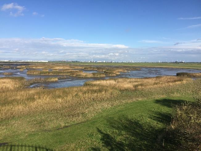 Der Tidepolder auf der Luneplate © WWF Deutschland / BUND / NABU