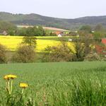 Landschaft im Naturpark TERRA.vita 