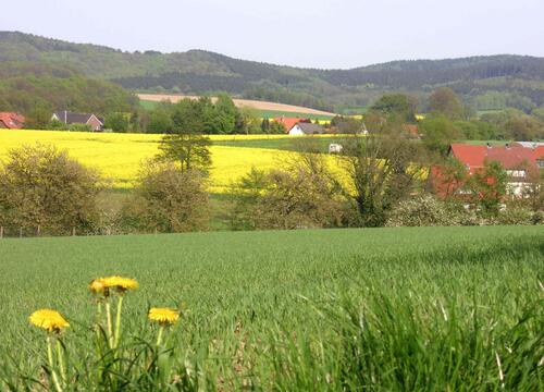 Landschaft im Naturpark TERRA.vita 
