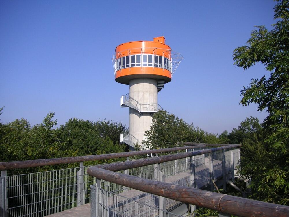 Baumkronenpfad, Turm 