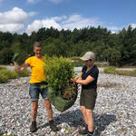 Bergwaldprojekt e.V. - Pflege der Feuersteinfelder © Bergwaldprojekt e.V.