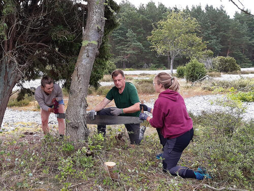 Freiwillige auf der DBU-Naturerbefläche Prora © Bergwaldprojekt e.V.