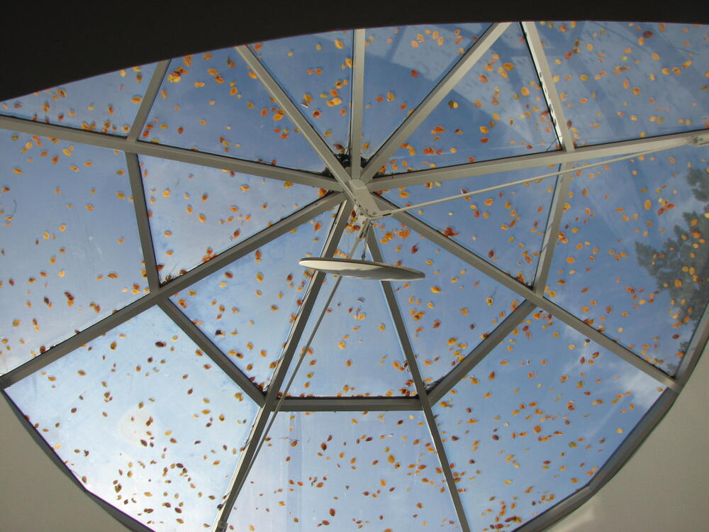 Herbstlaub auf dem Lichtschacht am DBU-Gebäude  © DBU, Christine Busch