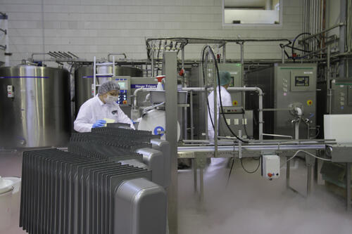 Sehen Sie selbst... &copy; Bruno Gelato GmbH