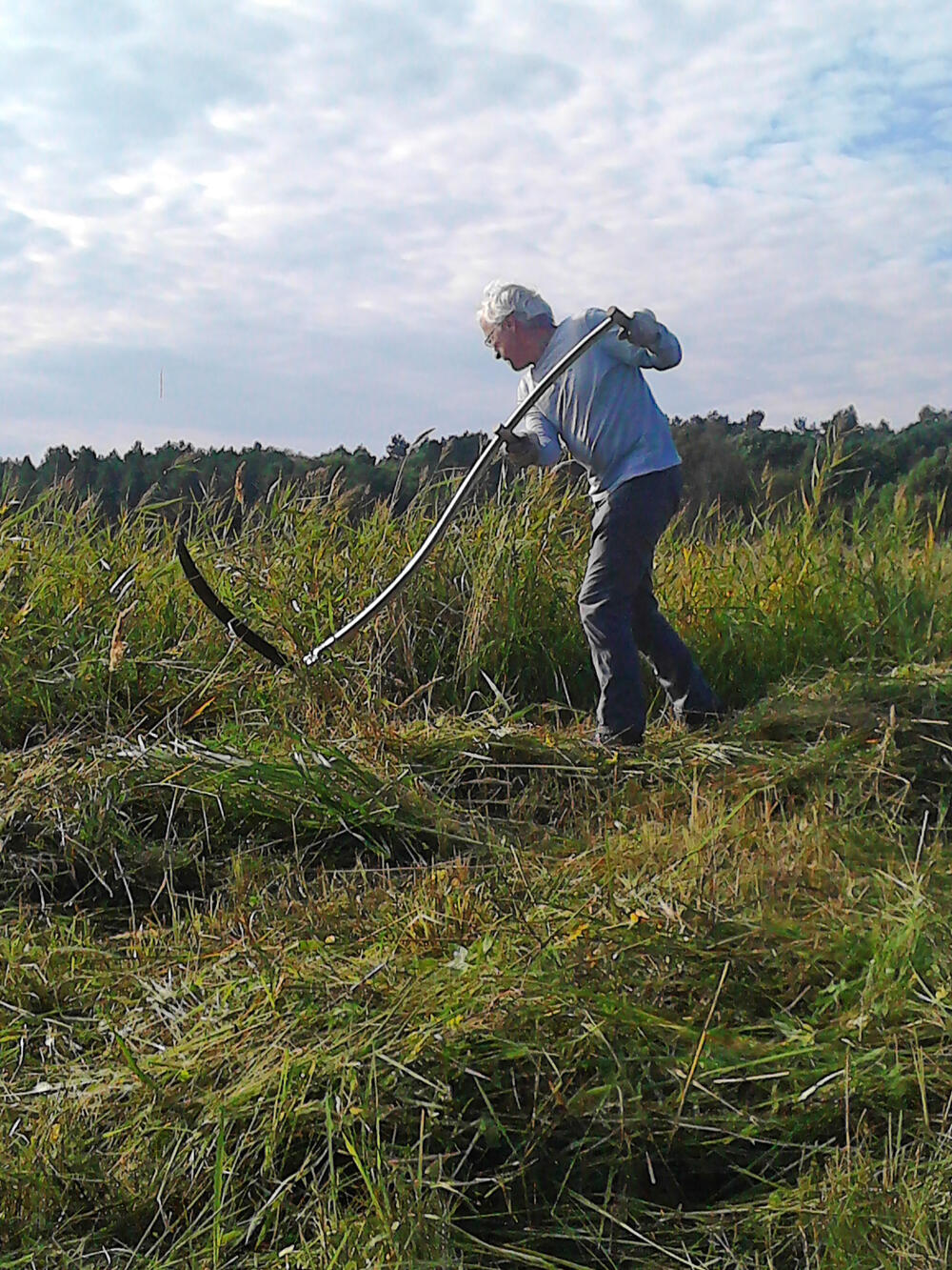 Bergwaldprojekt Peenemünde 2017 © Clara Busch