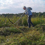 Bergwaldprojekt Peenemünde 2017 © Clara Busch