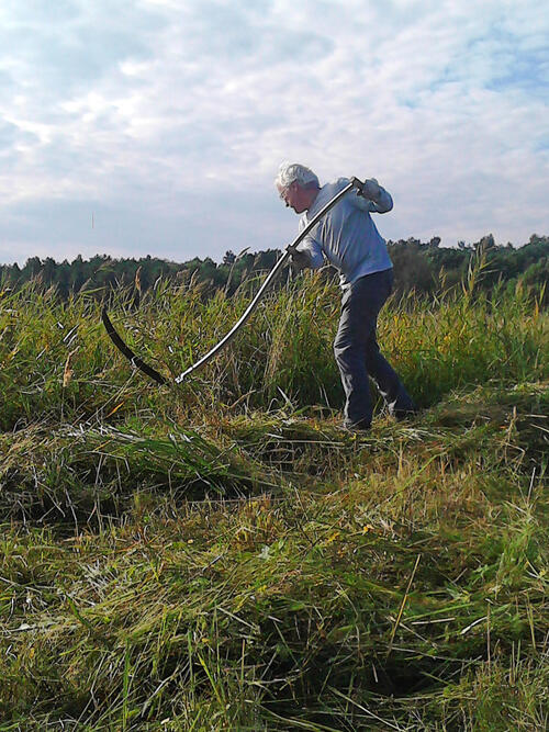 Bergwaldprojekt Peenemünde 2017 © Clara Busch