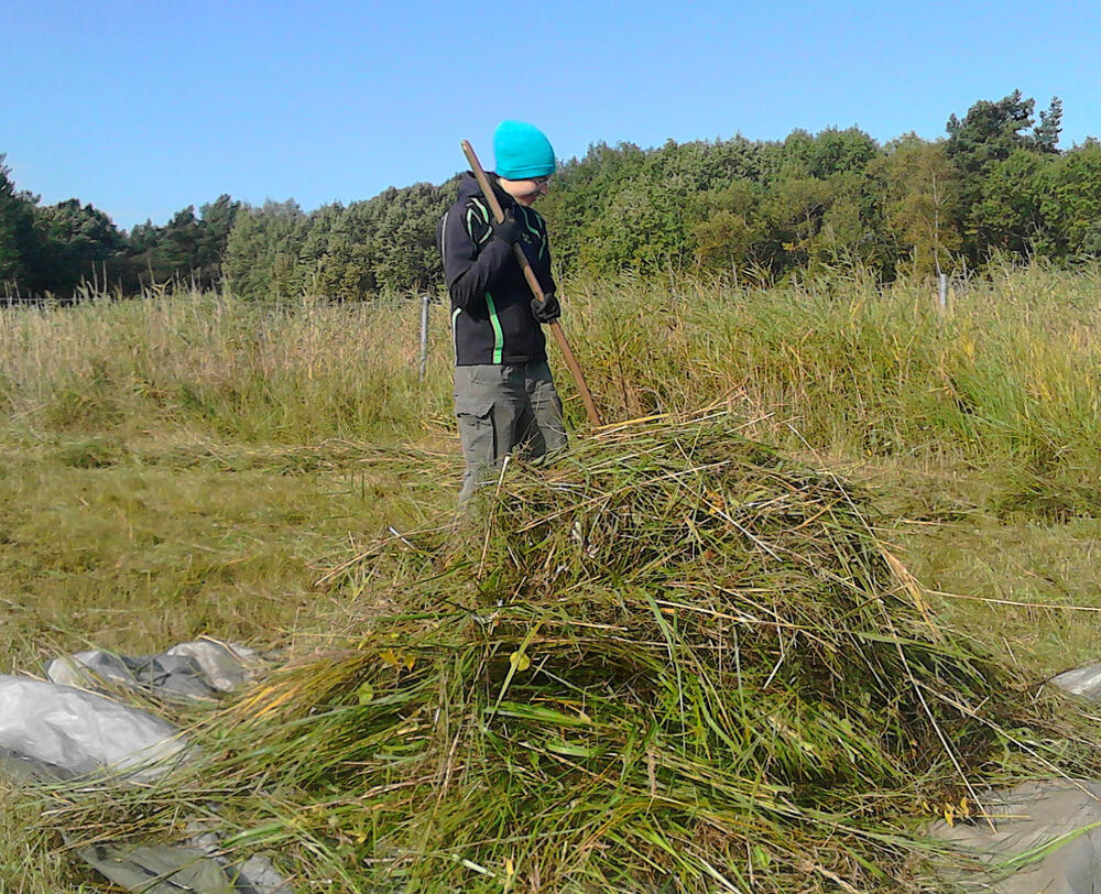 Bergwaldprojekt Peenemünde 2017 © Clara Busch