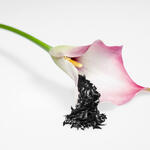 Sehen Sie selbst... &copy; CFK Valley, Stade