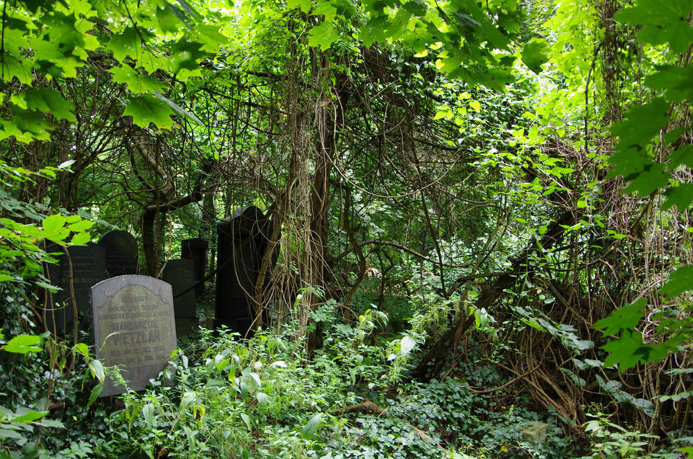 Sehen Sie selbst... &copy; Dr. Birgit Seitz