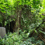 Sehen Sie selbst... &copy; Dr. Birgit Seitz