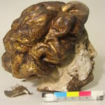 Sehen Sie selbst... &copy; Markus Freitag; Bildrechte: St. Laurentius Kirche in Tönning