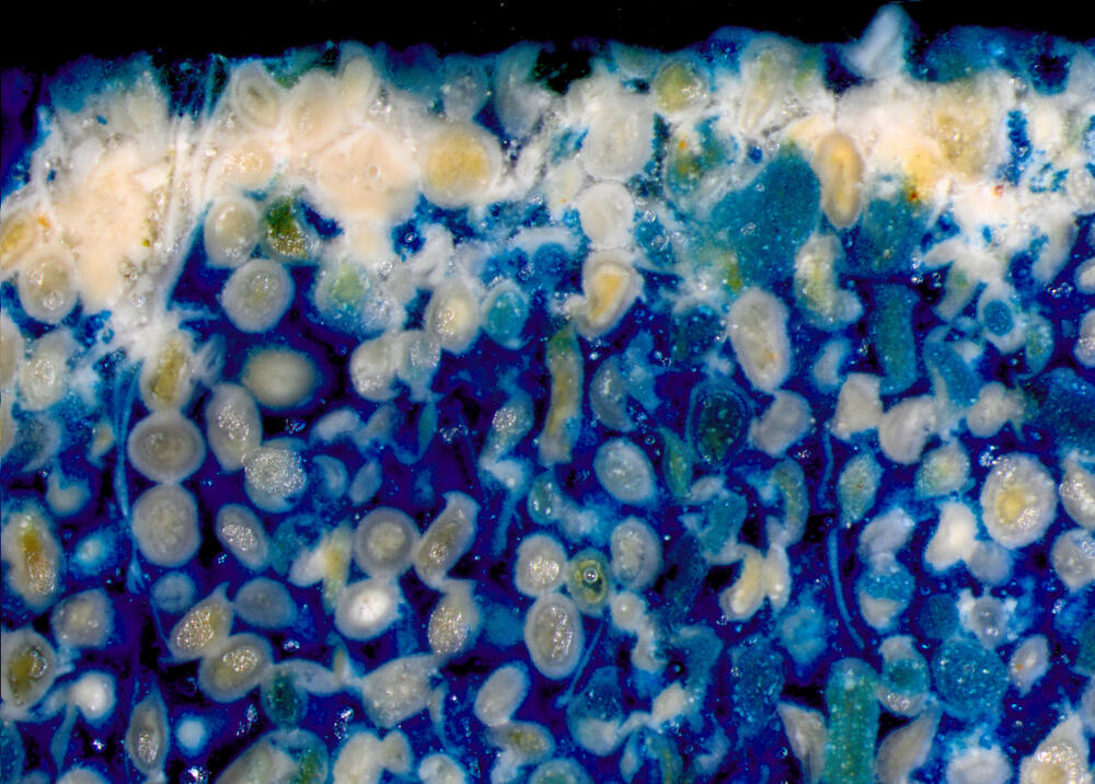 Sehen Sie selbst... &copy; G. Lehrberger