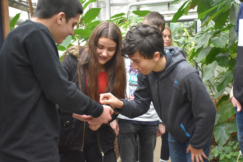 Jugendliche im Tropenhaus © Klaus Schaller