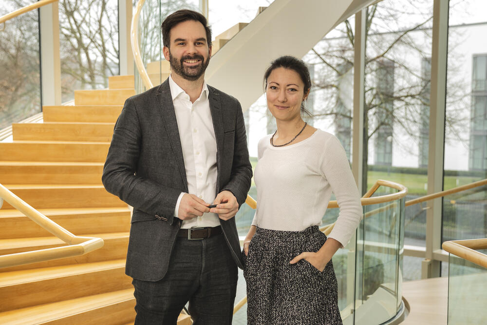 Start-up silberzebra © Alexander Luna