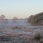 Achmer Sand © Werner Wahmhoff/ DBU Naturerbe