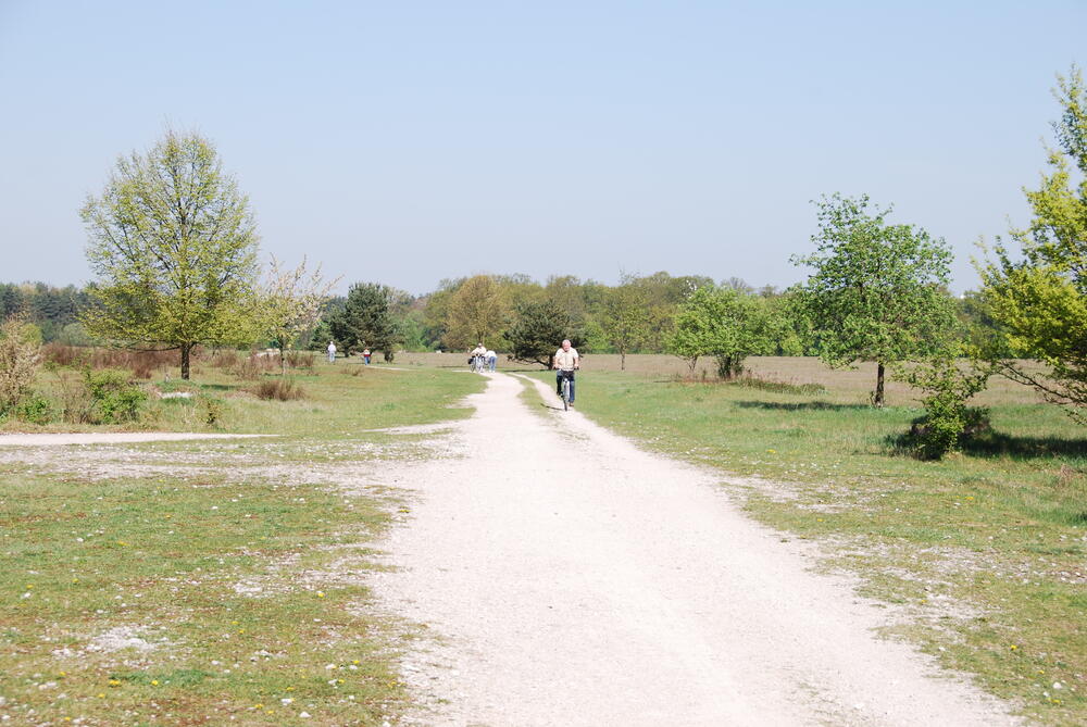 DBU Naturerbe Hainberg 