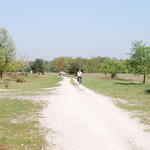 DBU Naturerbe Hainberg 