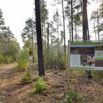 DBU Naturerbe Prösa © Lisa-Marie Hille/ DBU Naturerbe