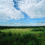 DBU Naturerbe Tennenlohe © Norbert Rosing