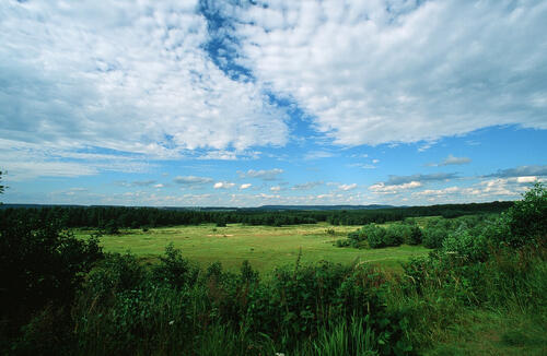 DBU Naturerbe Tennenlohe © Norbert Rosing
