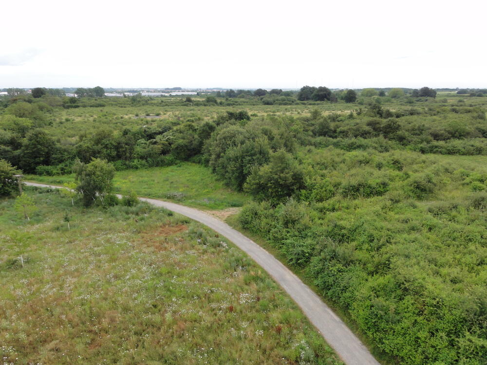 DBU Naturerbe Ebenberg © Susanne Belting/ DBU Naturerbe