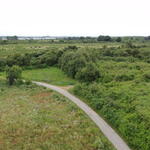 DBU Naturerbe Ebenberg © Susanne Belting/ DBU Naturerbe