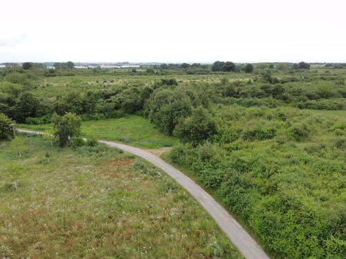 DBU Naturerbe Ebenberg © Susanne Belting/ DBU Naturerbe