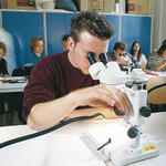 DBU-Stipendienprogramm 