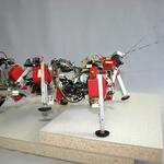 Bionik &copy; Department of Biological Cybernetics