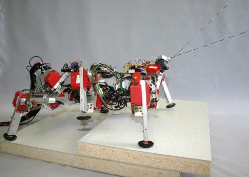 Bionik &copy; Department of Biological Cybernetics