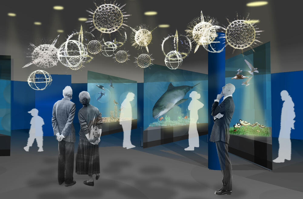 Die Ostesse-Ausstellung im Ozeaneum &copy; Ozeaneum