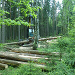 Sehen Sie selbst... © DBU Naturerbe