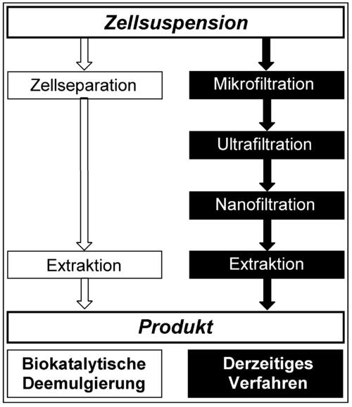 Umweltverträgliche Synthese neuer Antibiotika-Bausteine 