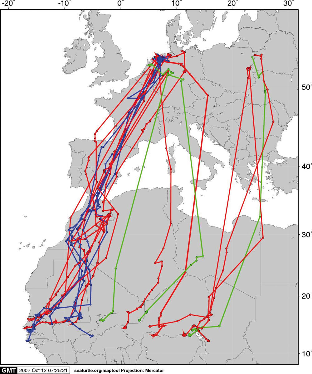 Herbstzugrouten der Wiesenweihen 