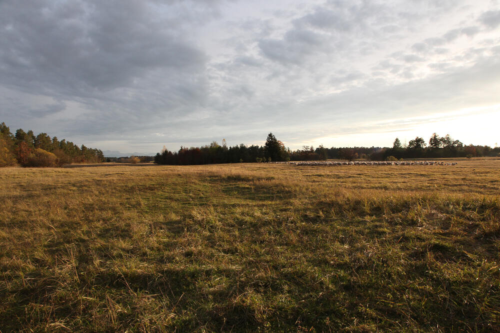 Sehen Sie selbst... © DBU Naturerbe/Culmsee