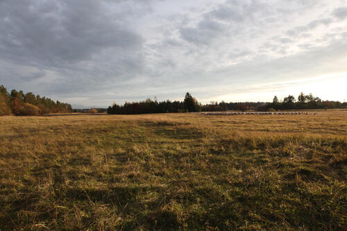 Sehen Sie selbst... © DBU Naturerbe/Culmsee