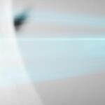 BVMW FOKUS | ZUKUNFT 