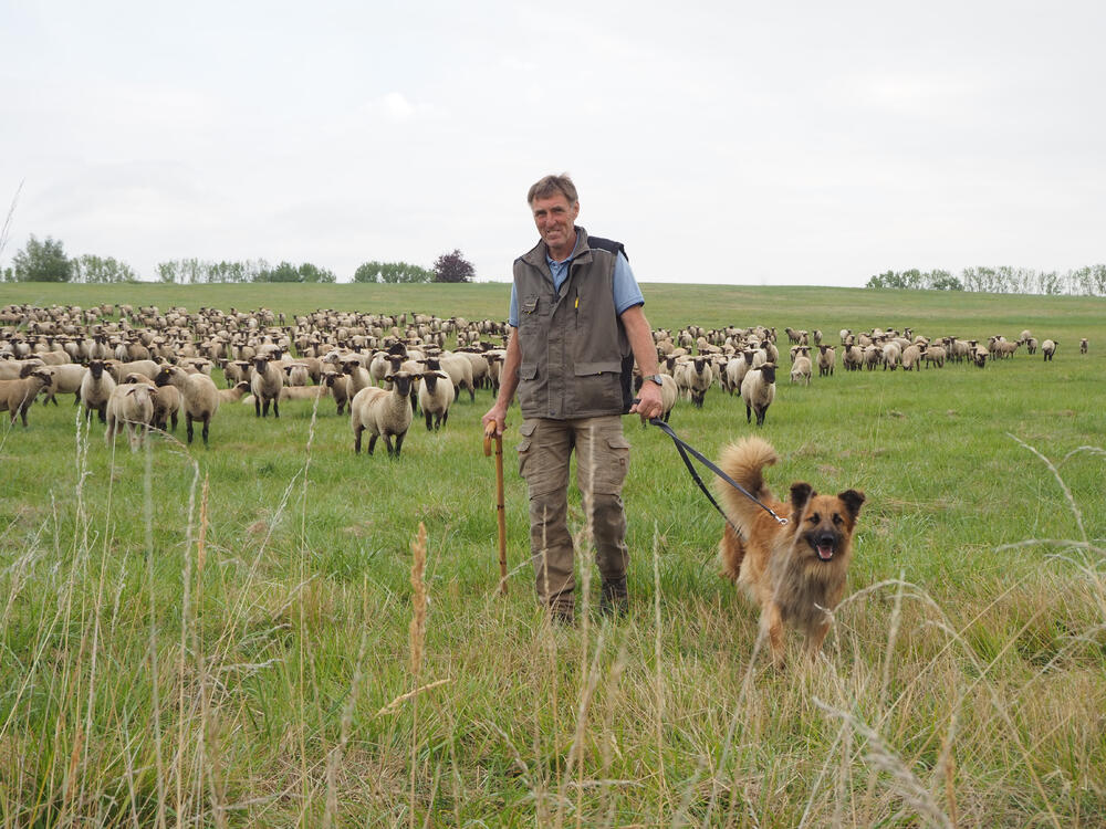 Wanderschäfer Christof Bokelmann  © Gesa Wannick/DBU Naturerbe