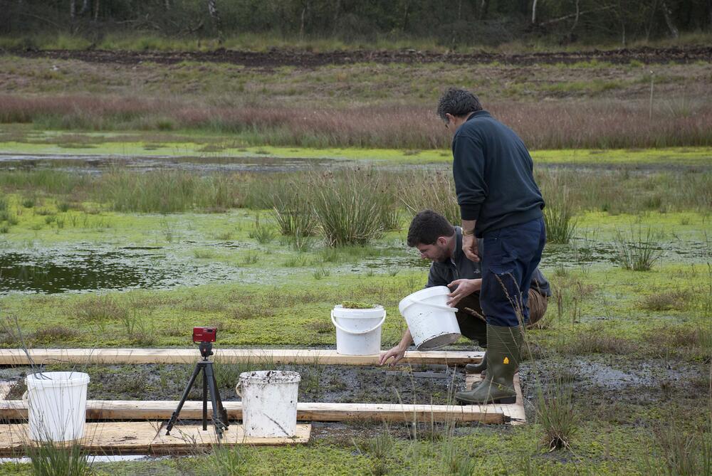 Freilandversuchsquadrate &copy; Stiftung Lebensraum Moor
