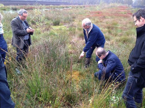 Bulttorfmoose &copy; Stiftung Lebensraum Moor