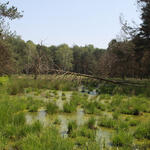 DBU Naturerbe Weißhaus © Egbert Brunn/ Bundesforst