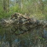 Schlauchgraben &copy; Stadt Mannheim