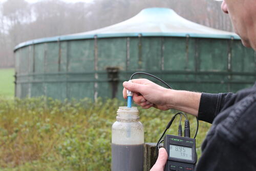 Sehen Sie selbst... © Anne Borchert/Hochschule Osnabrück