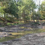 DBU-Naturerbefläche Hainberg, Weiher, Renaturierung © FETSCH Landschaftsarchitekten